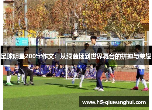 足球明星200字作文：从绿茵场到世界舞台的拼搏与荣耀