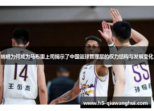 姚明为何成为马布里上司揭示了中国篮球管理层的权力结构与发展变化